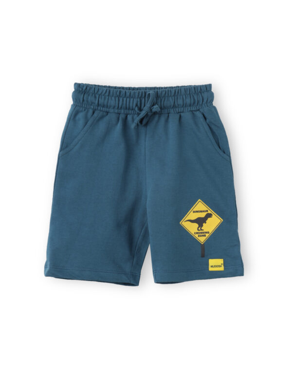 Boys Shorts Cotton French Terry Blue Coral Dino Crossing Zone