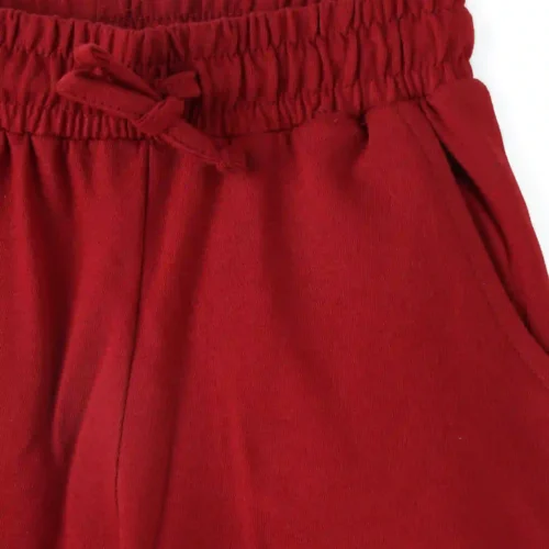 Boys Cotton Shorts with Cute Dino Print | Winery Red | Ages 2-6 | Mijoosh