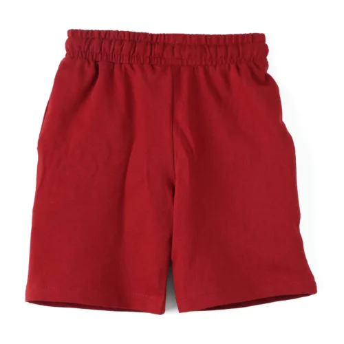 Boys Cotton Shorts with Cute Dino Print | Winery Red | Ages 2-6 | Mijoosh