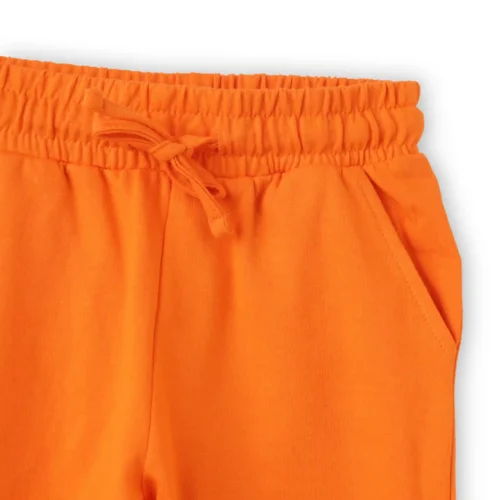 Boys Cotton Shorts with Cool Shark Print | Scarlet Ibis | Ages 2-6 | Mijoosh