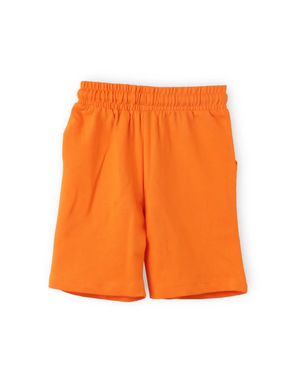 Boys Cotton Shorts with Cool Shark Print | Scarlet Ibis | Ages 2-6 | Mijoosh