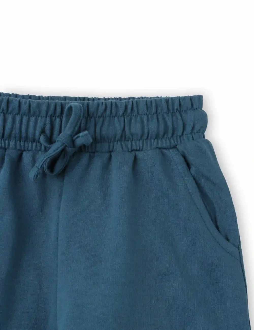 Boys Cotton Shorts with Dino Crossing Print | Blue Coral | Ages 2-6 | Mijoosh