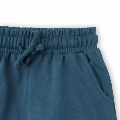 Boys Cotton Shorts with Dino Crossing Print | Blue Coral | Ages 2-6 | Mijoosh