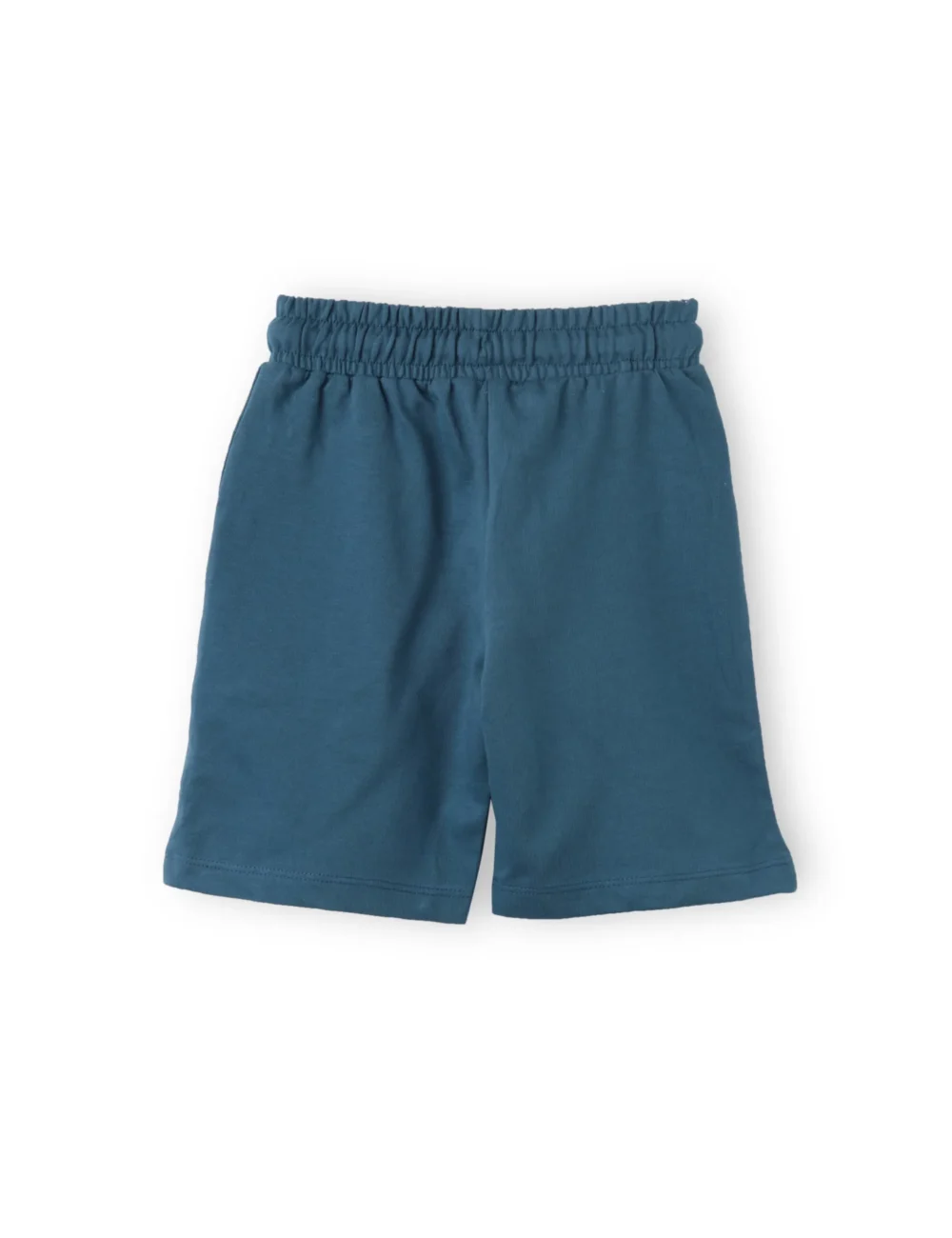 Boys Cotton Shorts with Dino Crossing Print | Blue Coral | Ages 2-6 | Mijoosh