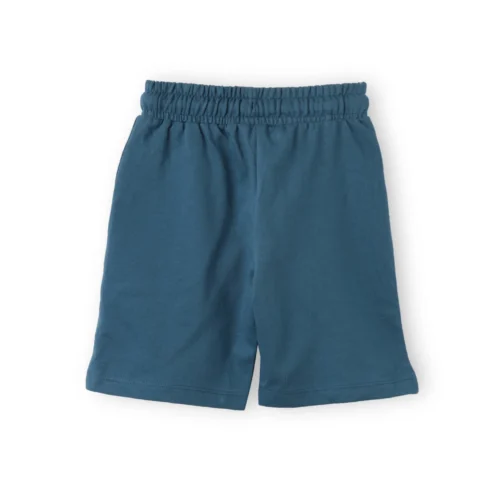 Boys Cotton Shorts with Dino Crossing Print | Blue Coral | Ages 2-6 | Mijoosh
