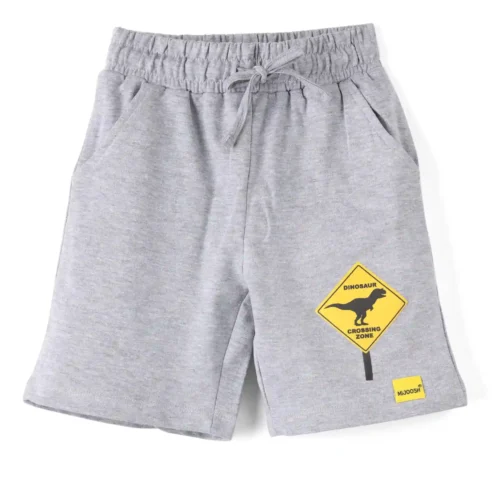 Boys Cotton Shorts with Dino Crossing Print | Grey Heather | Ages 2-6 | Mijoosh