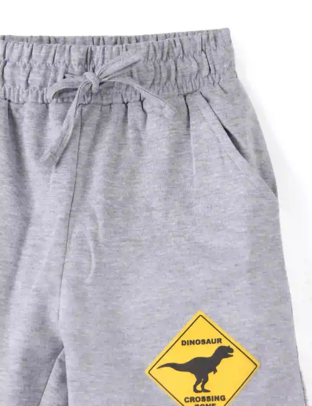 Boys Cotton Shorts with Dino Crossing Print | Grey Heather | Ages 2-6 | Mijoosh