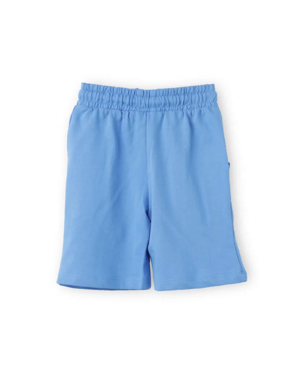 Boys Cotton Shorts with Baby Penguin Print | All Aboard Blue | Ages 2-6 | Mijoosh