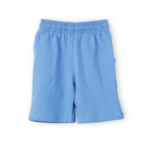 Boys Cotton Shorts with Baby Penguin Print | All Aboard Blue | Ages 2-6 | Mijoosh