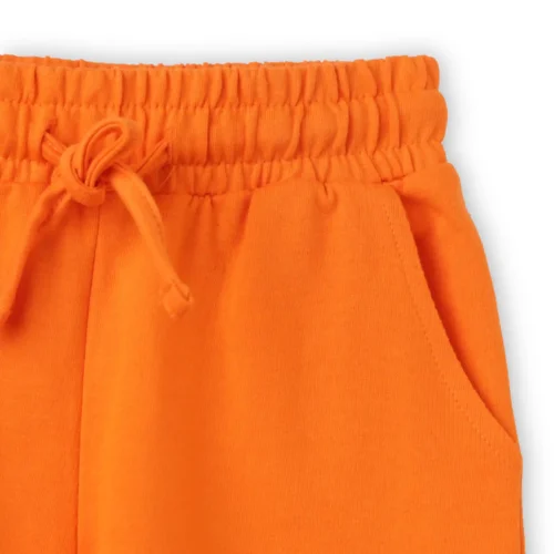 Boys Cotton Shorts with Baby Penguin Print | Scarlet Ibis | Ages 2-6 | Mijoosh