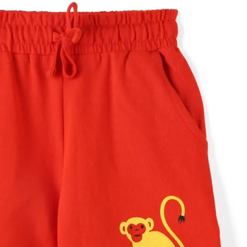Boys Cotton Shorts with Peanut Monkey Print | Fiery Red | Ages 2-6 | Mijoosh