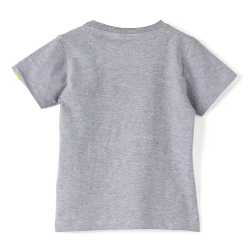 Boys Cotton T-Shirt | Born Chiller | Grey Heather | 2-6Y