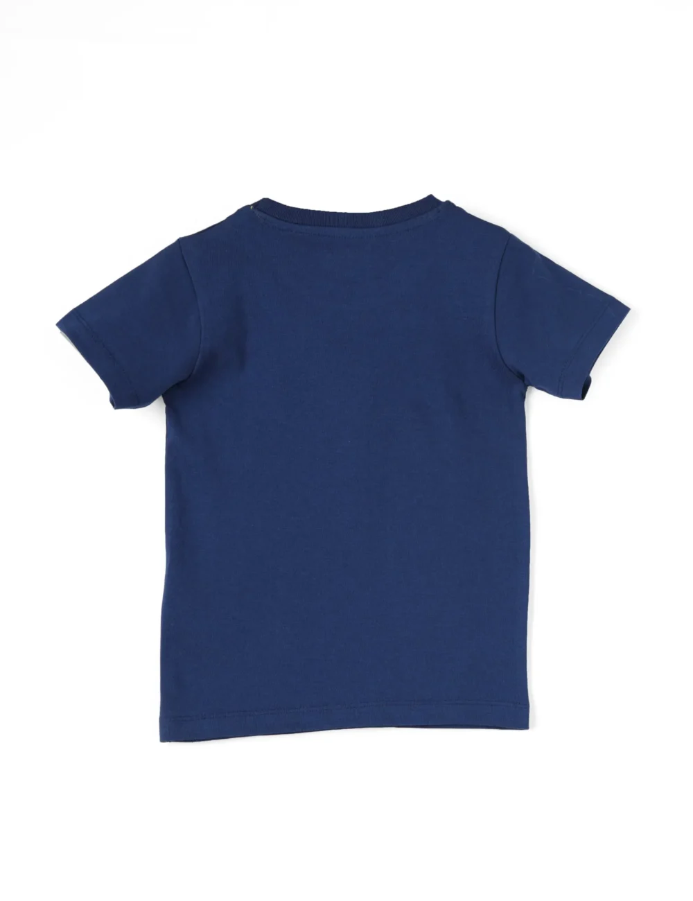 Boys Cotton T-Shirt | Cool Dino | Estate Blue | 2-6Y