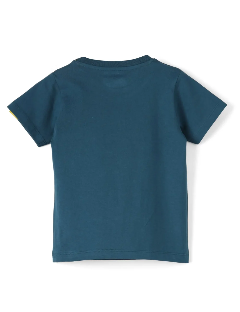 Boys Cotton T-Shirt | Skating Dino | Blue Coral | 2-6Y