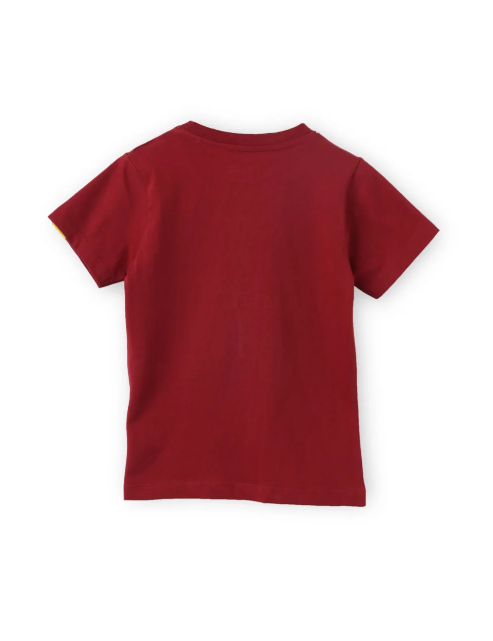 Boys Cotton T-Shirt | Hi Dino | Winery Red | 2-6Y