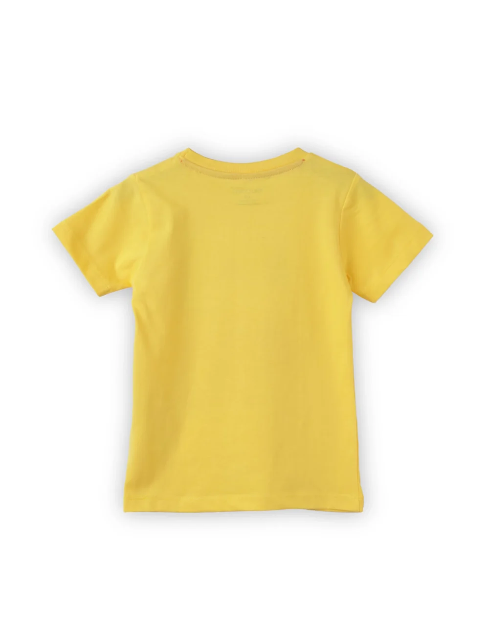 Boys Cotton T-Shirt | Roar Dino | Dandelion | 2-6Y