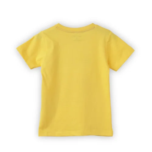 Boys Cotton T-Shirt | Roar Dino | Dandelion | 2-6Y