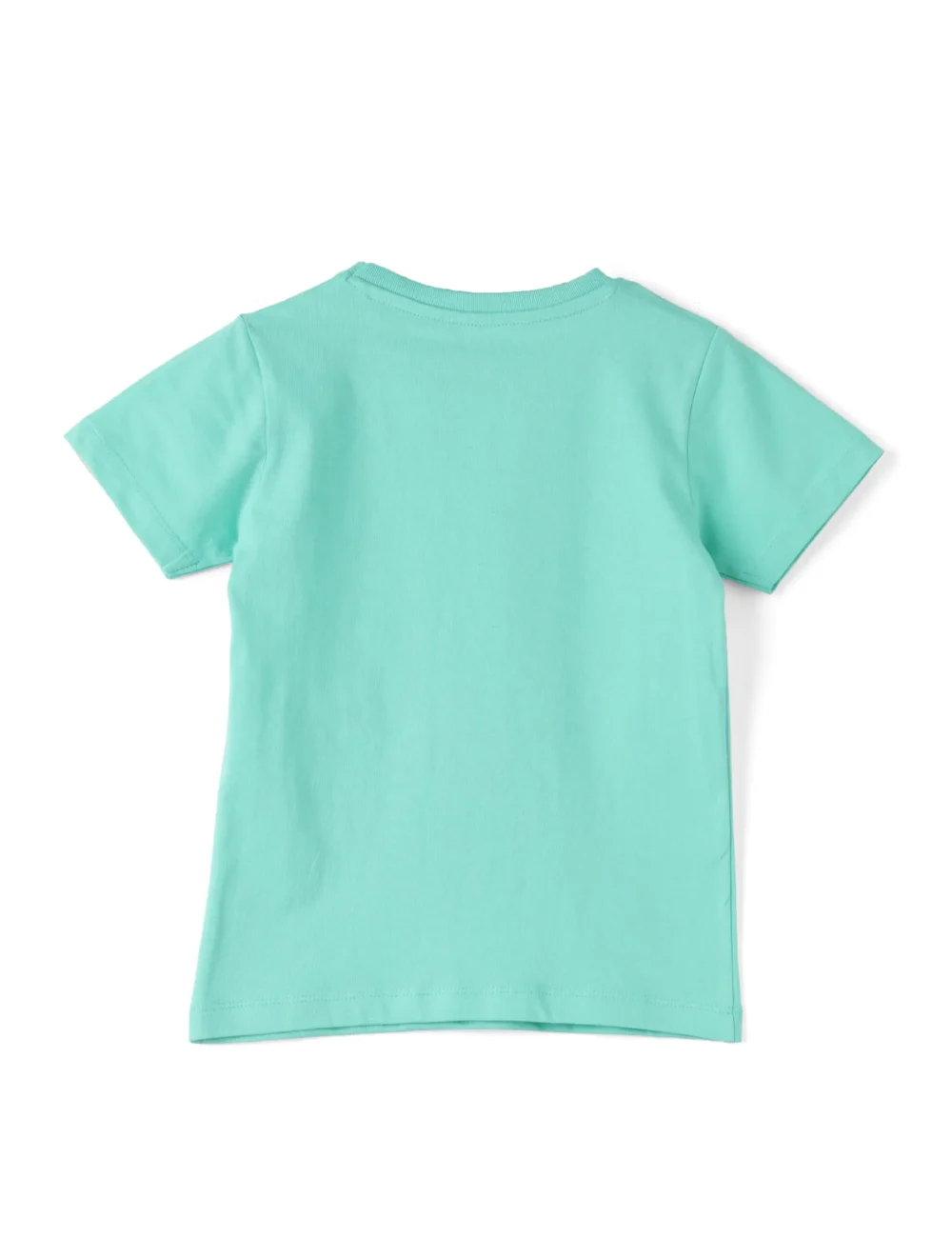 Boys Cotton T-Shirt | Rock Star | Biscay Green | 2-6Y