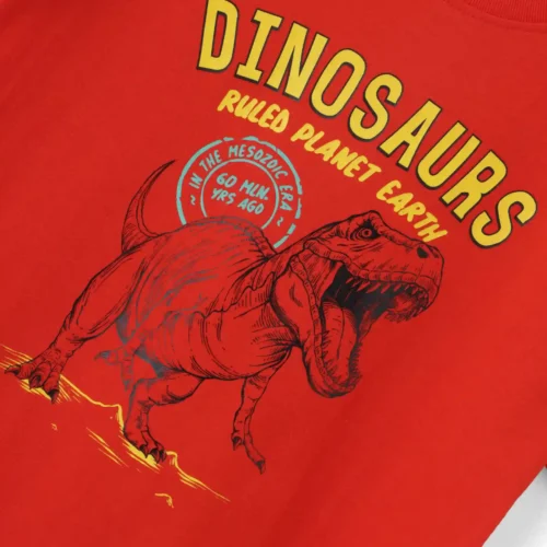 Boys Cotton T-Shirt | Dinosaurs | Fiery Red | 7-14Y