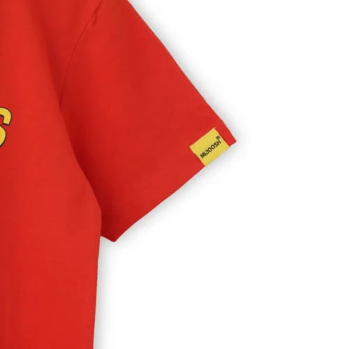 Boys Cotton T-Shirt | Dinosaurs | Fiery Red | 7-14Y