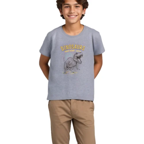 Boys Cotton T-Shirt | Dinosaurs | Grey Heather | 7-14Y