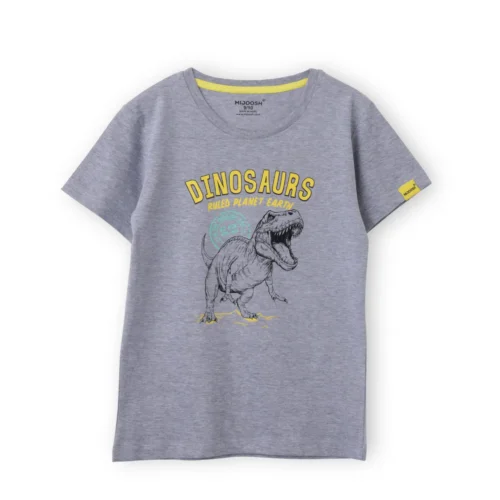 Boys Cotton T-Shirt | Dinosaurs | Grey Heather | 7-14Y