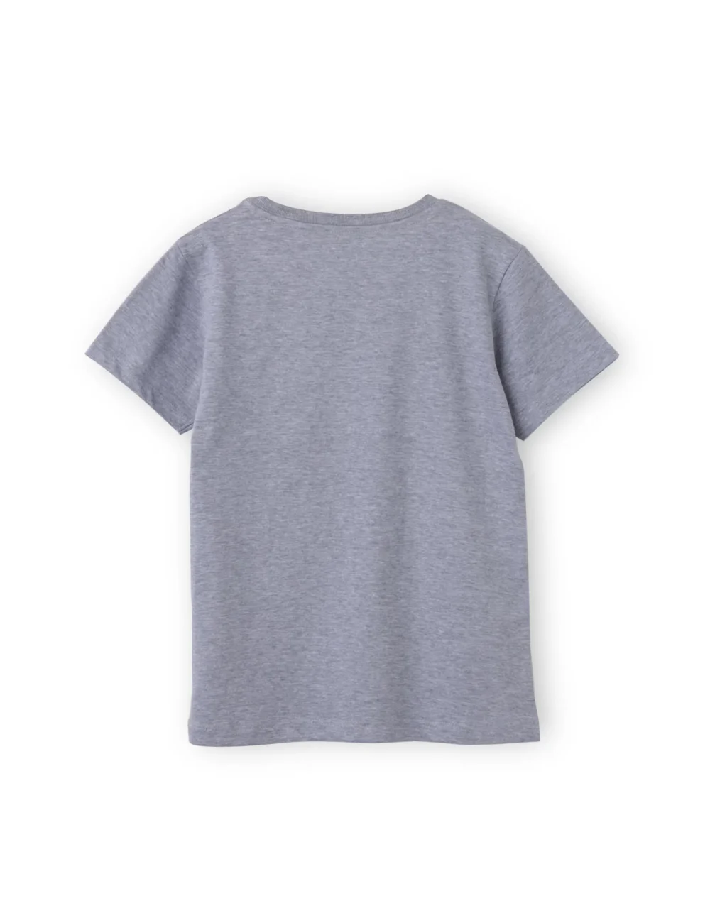 Boys Cotton T-Shirt | Dinosaurs | Grey Heather | 7-14Y