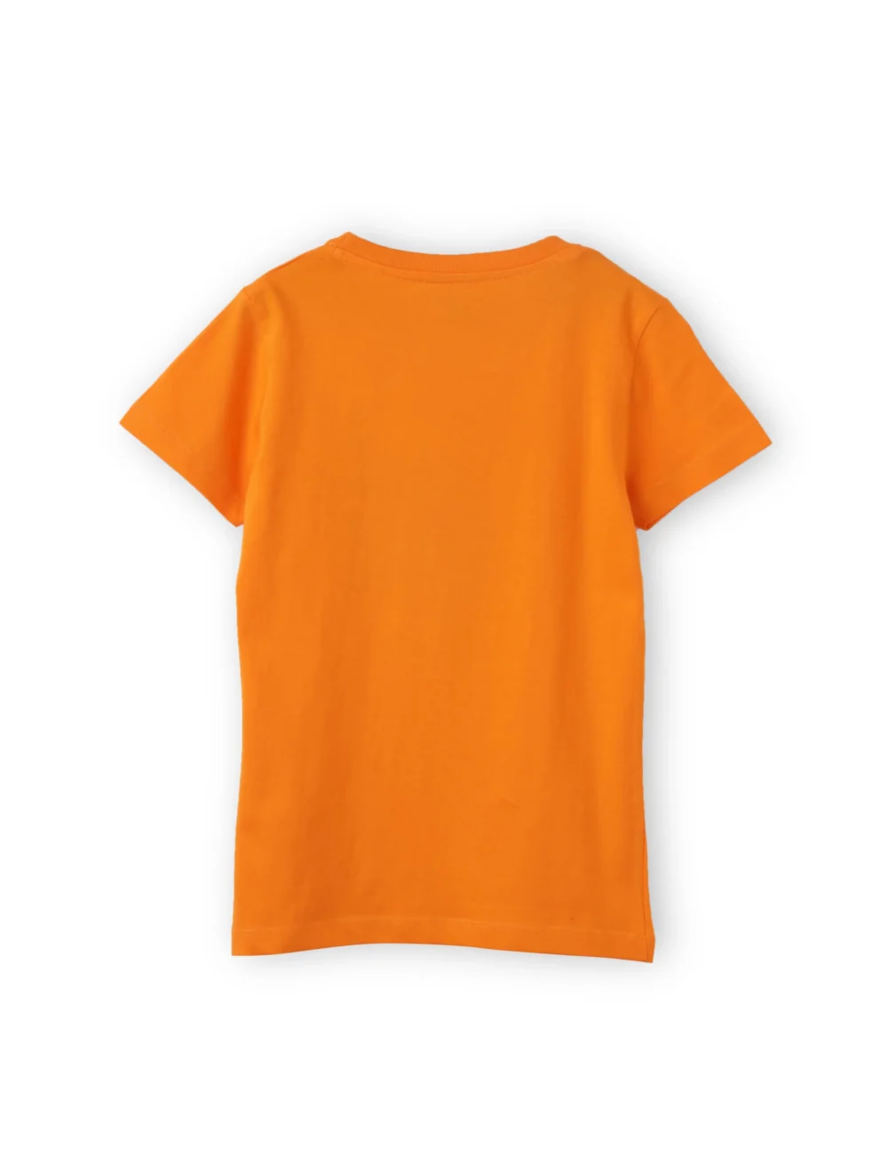 Girls Cotton T-Shirt | Cool Ice Creams | Vibrant Orange | 7-14Y