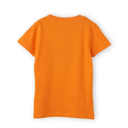 Girls Cotton T-Shirt | Cool Ice Creams | Vibrant Orange | 7-14Y